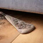 Sudėtingas būdas atsikratyti paslėptų nešvarumų po masyviais baldais sudetingas-budas-atsikratyti-pasleptu-nesvarumu-po-masyviais-baldais.png